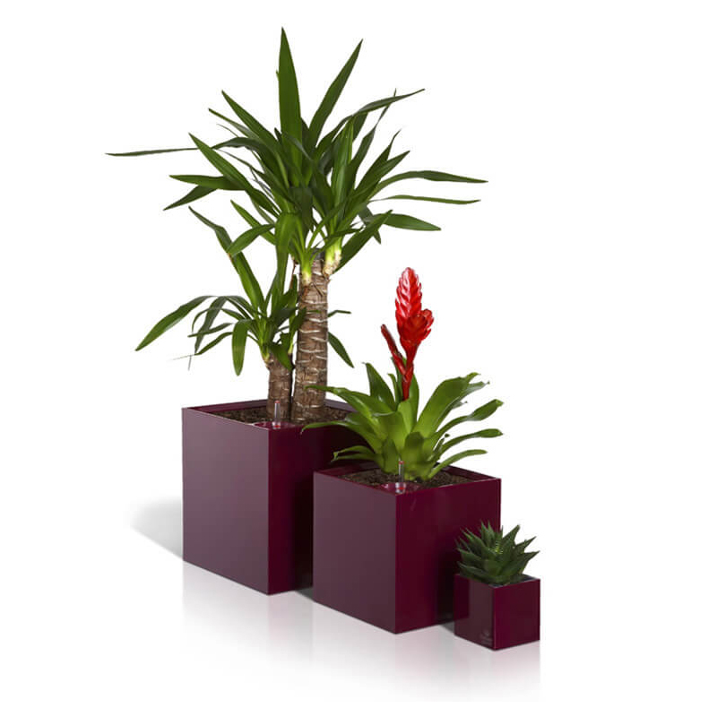 Flower Pot - Cubico - Elegant Red - 9x9x13.5cm - Flower Lover