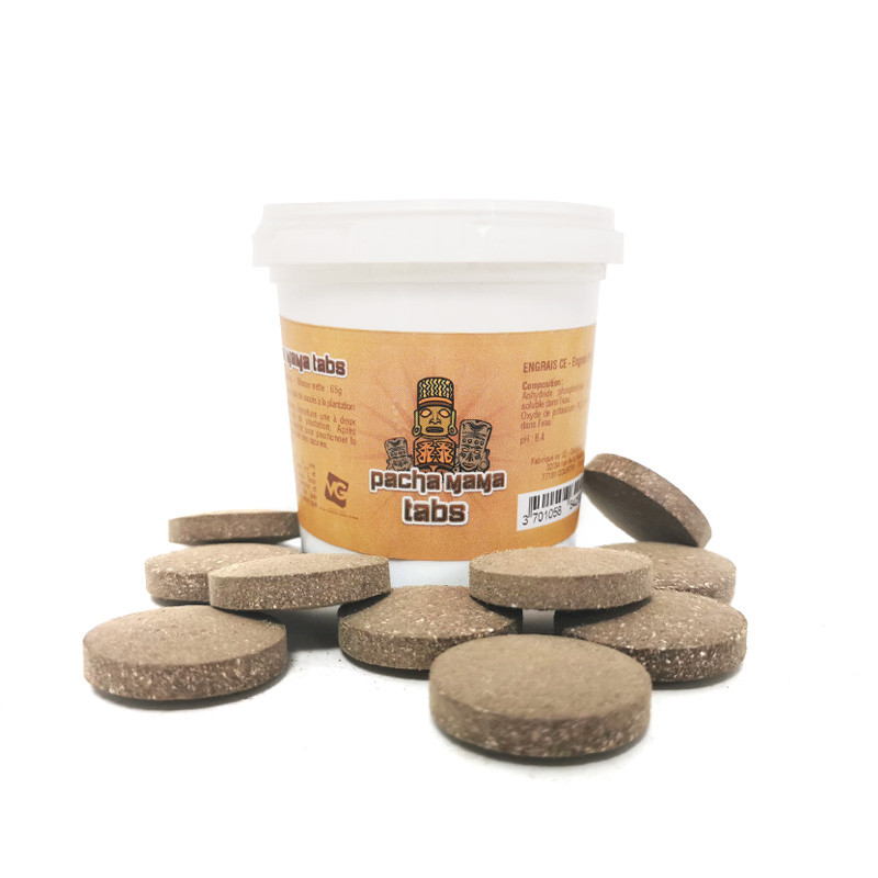 VAALSERBERG PACHAMAMA TABS - 10 TABLETTEN