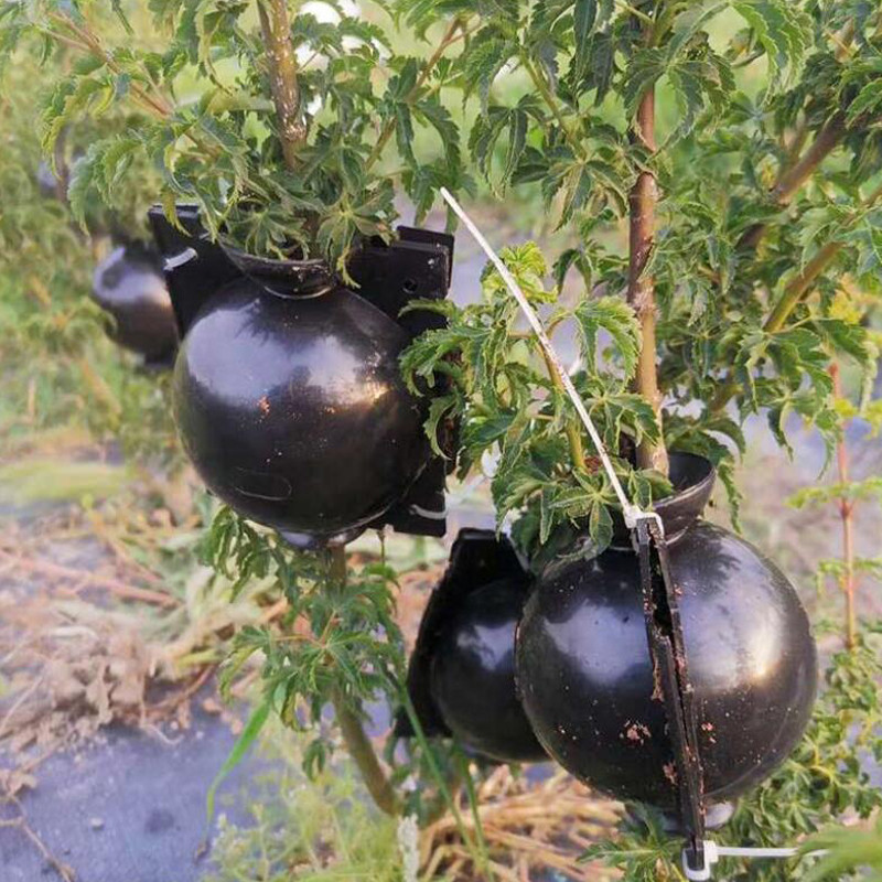 10 BOULES D'ENRACINEMENT TAILLE S - NOIR 10 BOULES D'ENRACINEMENT TAILLE S - NOIR