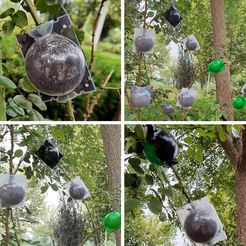 10 BOULES D'ENRACINEMENT TAILLE S - NOIR 10 BOULES D'ENRACINEMENT TAILLE S - NOIR