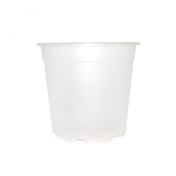 VASO PER ORCHIDEE IN PLASTICA DI CRISTALLO 17 CM