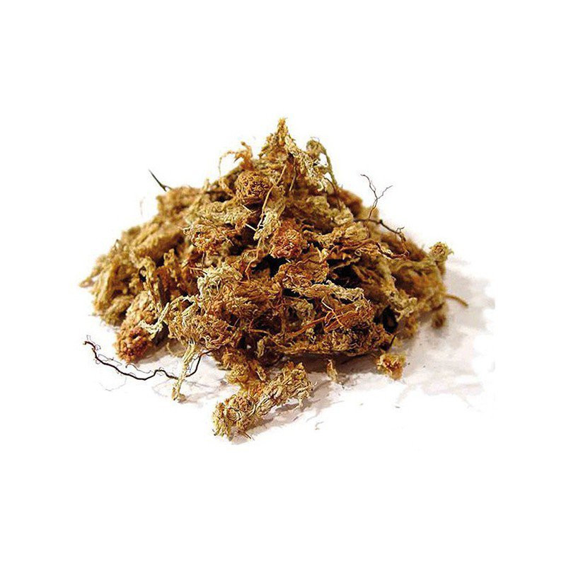 Musgo Sphagnum 1 kg