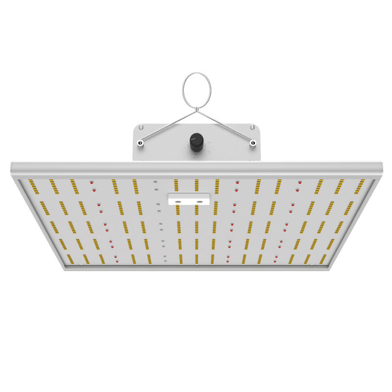 INDOORLED QUANTUM MAX 150
