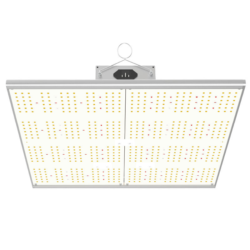INDOORLED QUANTUM MAX 240