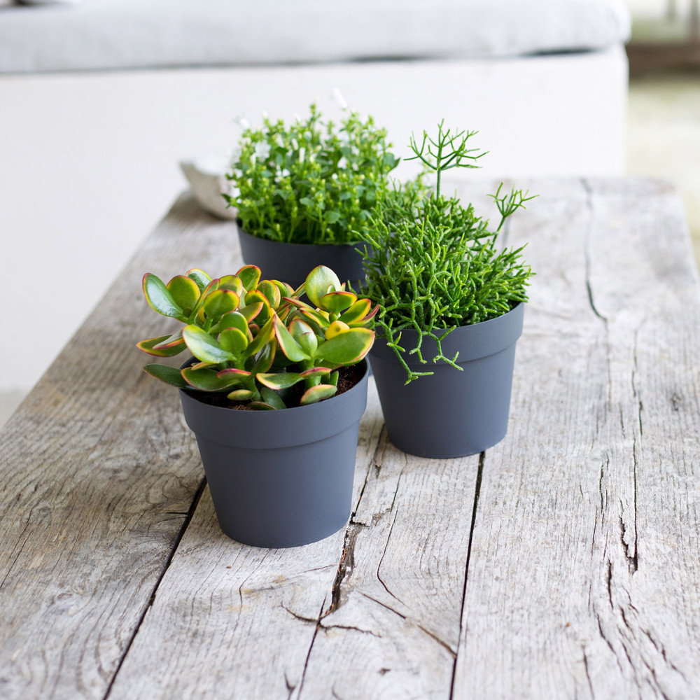 Toscane round pot - 13x11.6cm - 1.1L - Concrete Grey - EDA plastics