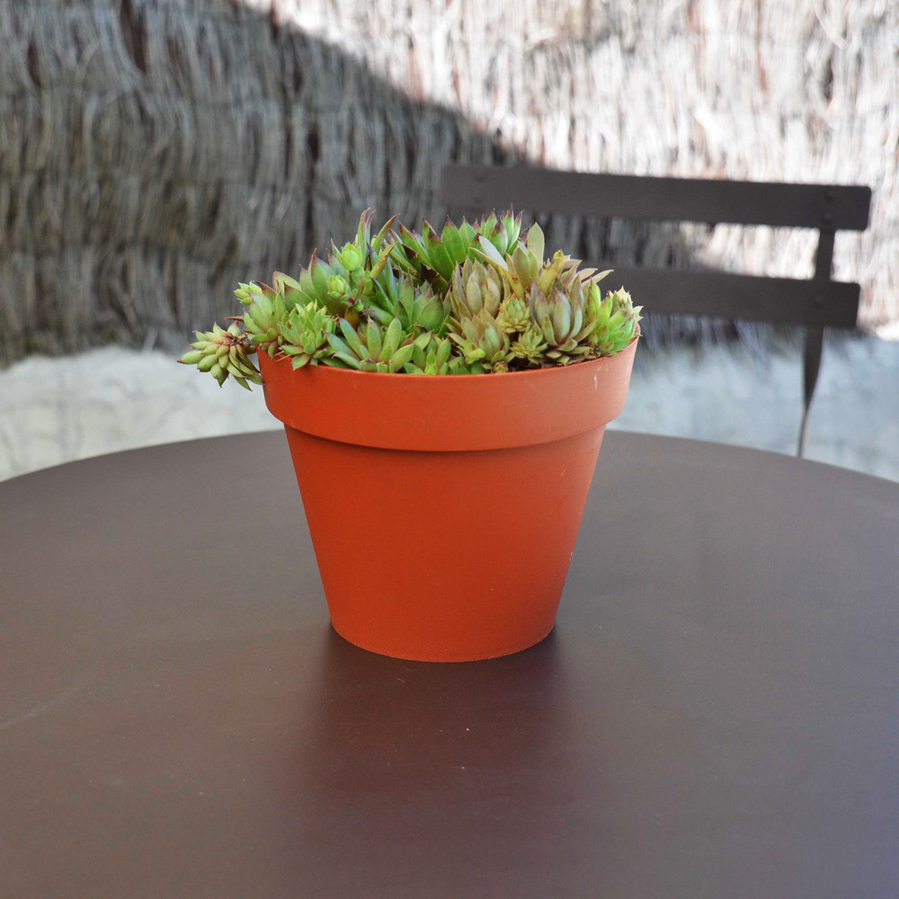 Toscane vaso rotondo - 25x20,6cm - 6L - verde alloro - EDA in plastica