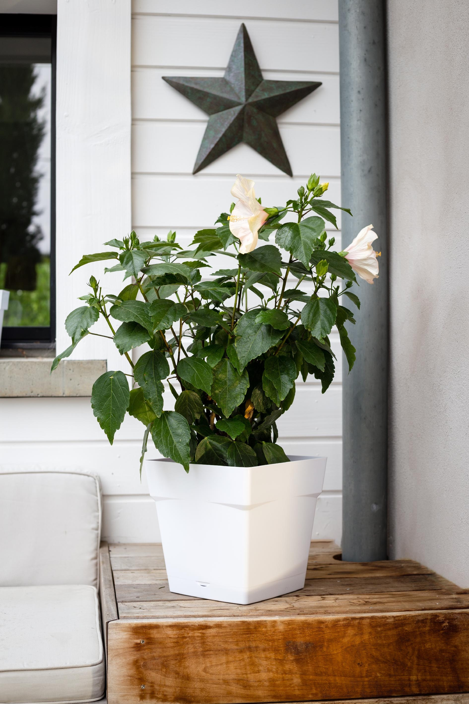 Toscane vierkante waterreservoirpot 3.4L - 18x18cm - Wit - Wit EDA Kunststof