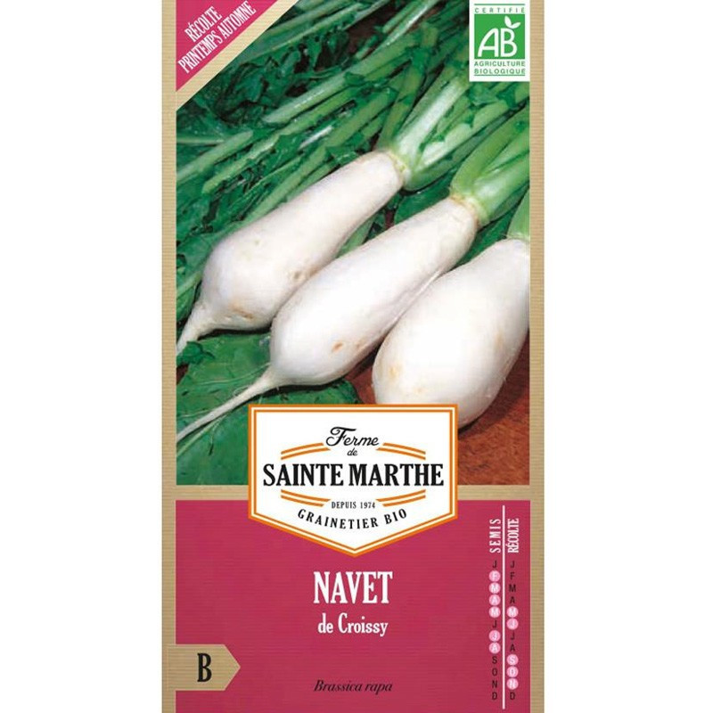 Navet de Croissy - 300 graines - La ferme Sainte Marthe