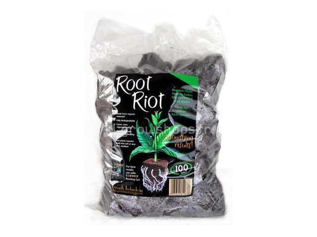 Root Riot germination plug x100 plugs -growth technology