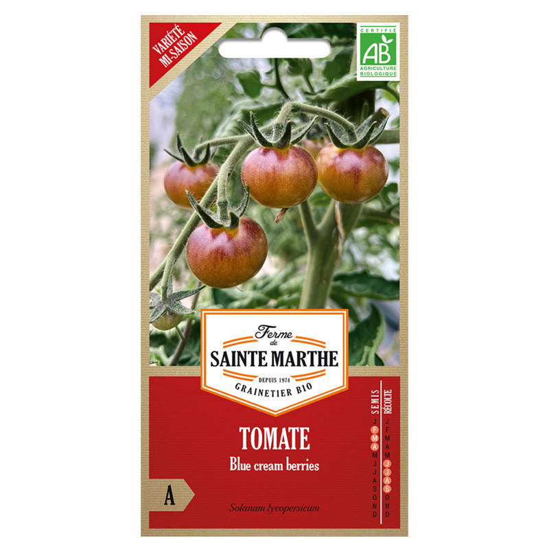 Tomates blue cream berries - 50 graines AB - La ferme Sainte Marthe