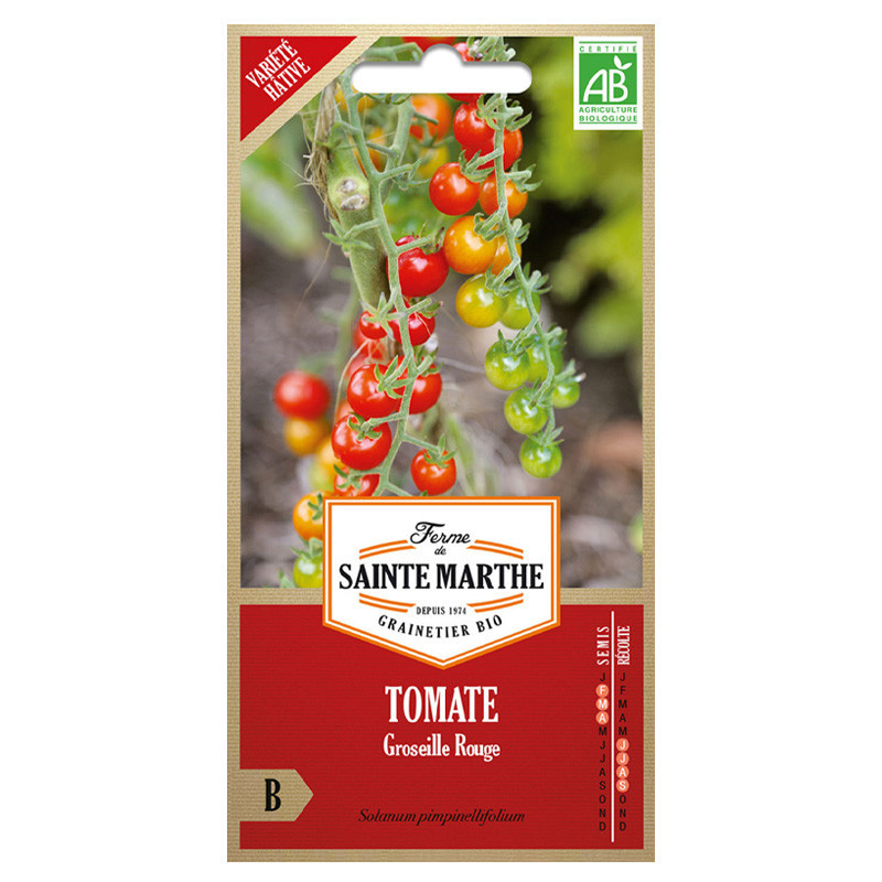Tomate groseille rouge type petit moineau - 50 graines AB - La ferme Sainte Marthe