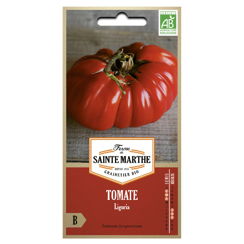 Tomate Liguria - 50 graines AB - La ferme Sainte Marthe