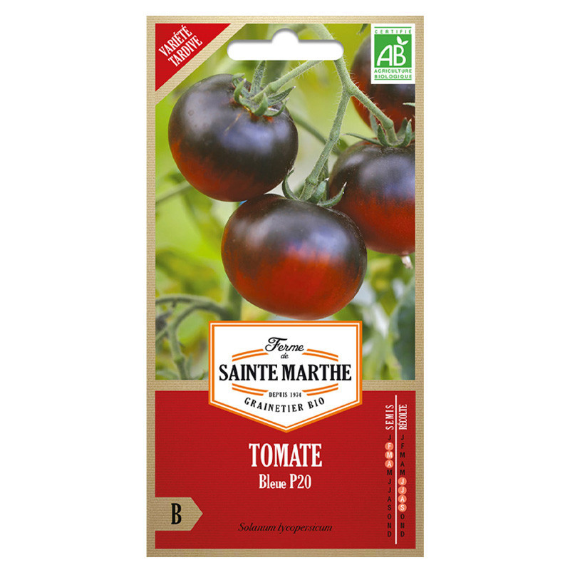 Tomates bleue P20 ou osu blue P20 - 50 graines AB - La ferme Sainte Marthe