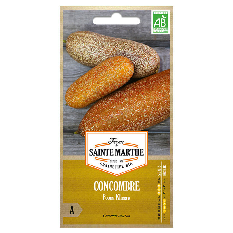 Concombre Poona Kheera - 20 graines AB - La ferme Sainte Marthe