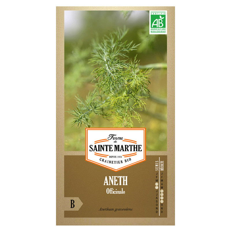 Aneth officinale - 200 graines AB - La ferme Sainte Marthe