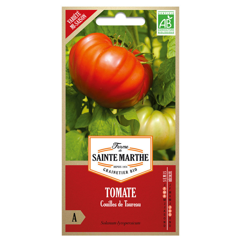 Tomate couilles de taureau - 50 graines AB - La ferme Sainte Marthe
