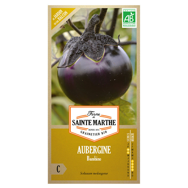 Aubergine bambino - 50 graines AB - La ferme Sainte Marthe