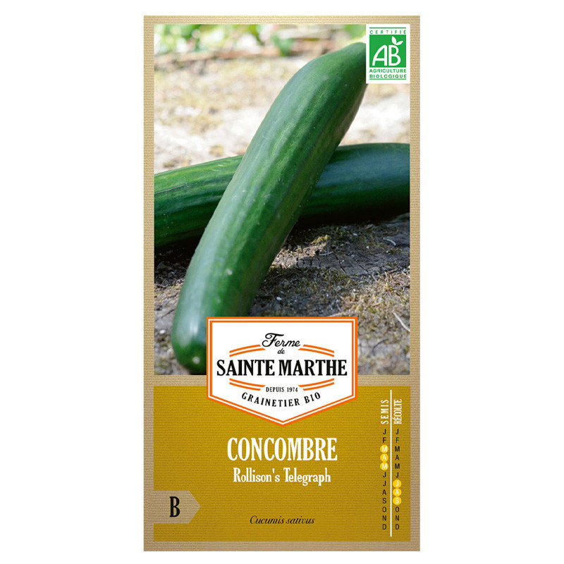 Concombre Rollison's telegraph - 20 graines AB - La ferme Sainte Marthe