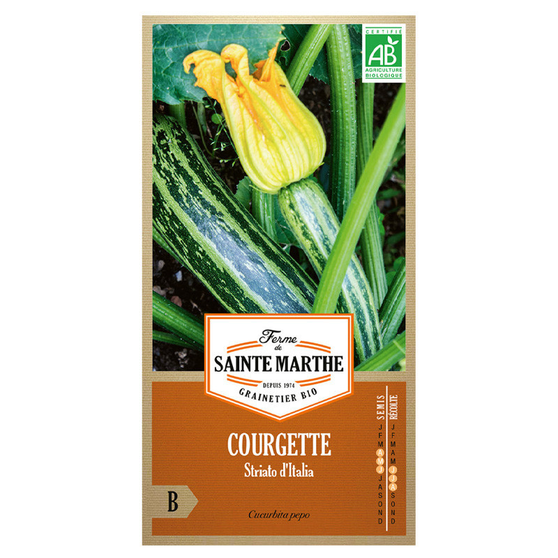 Courgette striato d'italia - 15 graines AB - La ferme Sainte Marthe