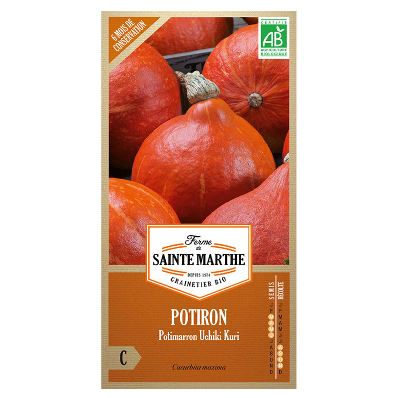 Potiron Potimarron Uchiki Kuri - 15 graines AB - La ferme Sainte Marthe