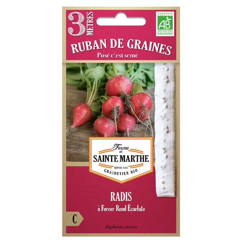 Ruban de radis à forcer rond écarlate - 150 graines AB - La ferme Sainte Marthe