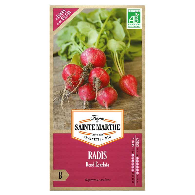 Radis rond écarlate - 1000 graines AB - La ferme Sainte Marthe