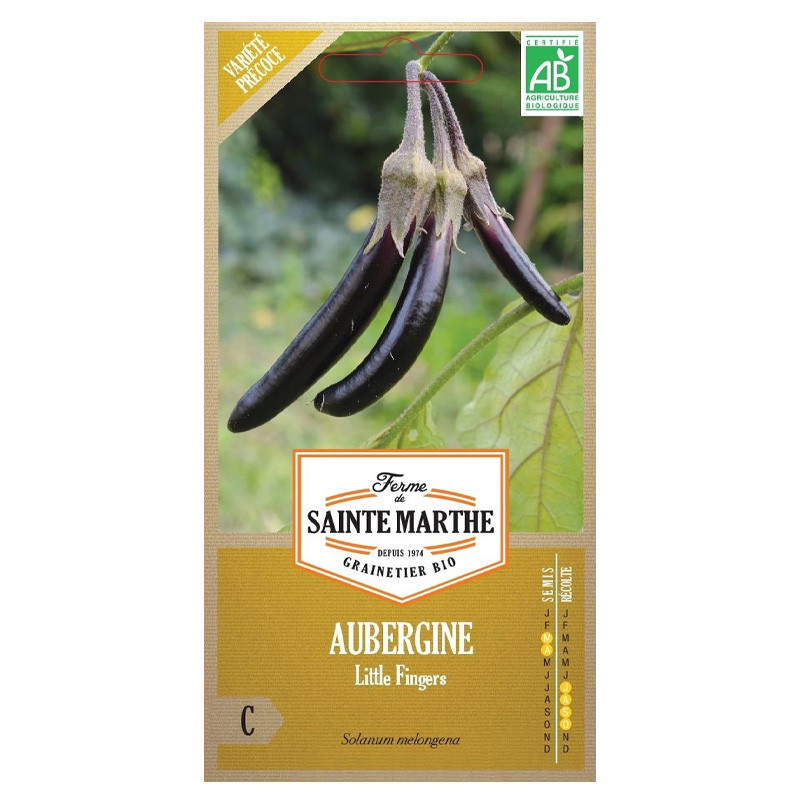 Aubergine Little Fingers - 50 graines AB - La ferme Sainte Marthe