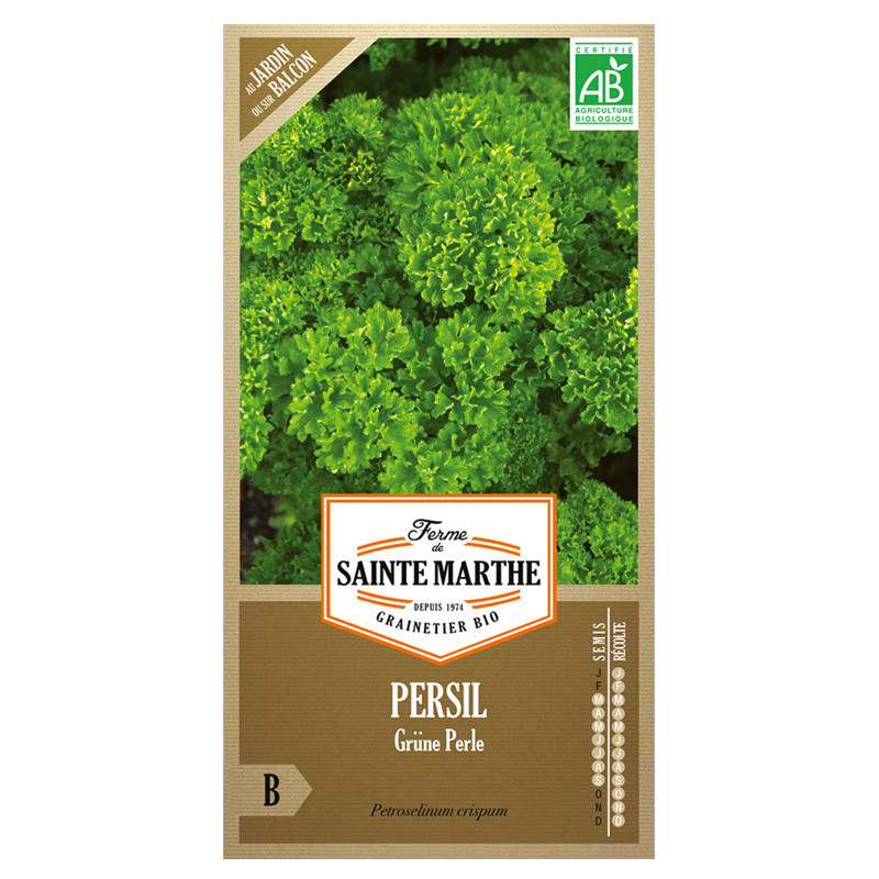 Persil frisé Grüne Perle - 1000 graines AB - La ferme Sainte Marthe