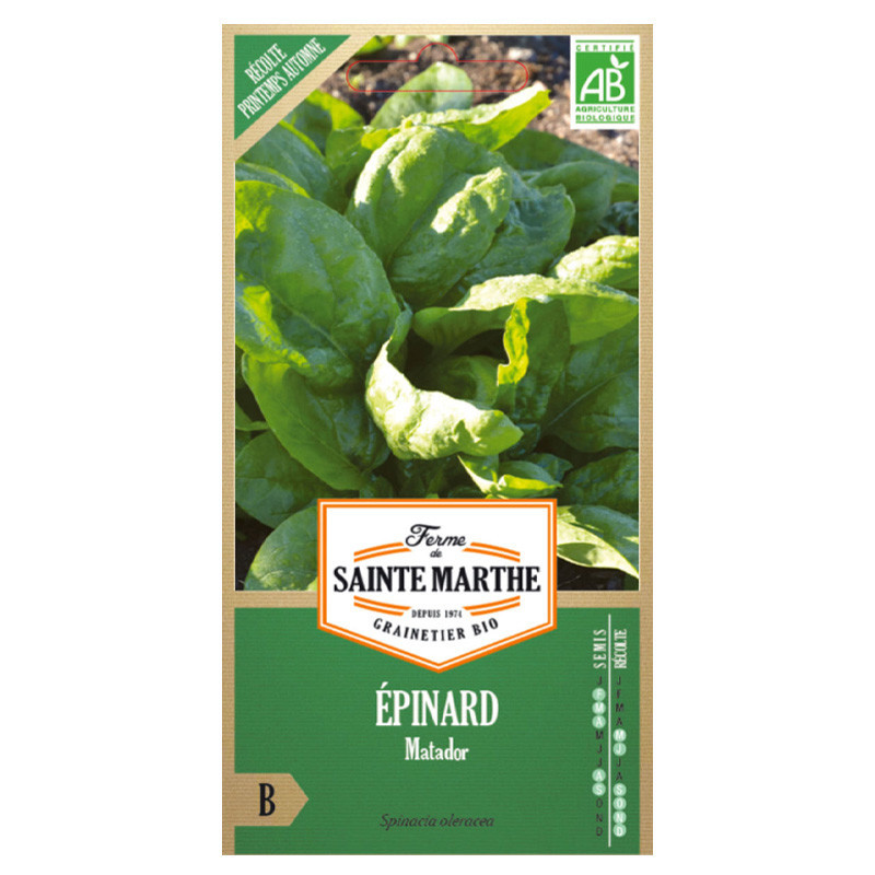 La ferme Sainte Marthe - 500 graines AB - Epinard Matador
