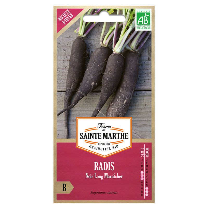 Radis noir long Maraîcher - 500 graines AB - La ferme Sainte Marthe
