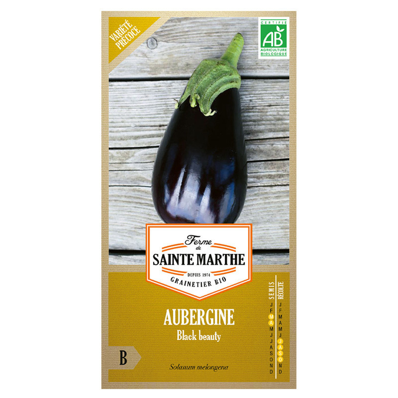 Aubergine Black Beauty - 50 graines AB - La ferme Sainte Marthe