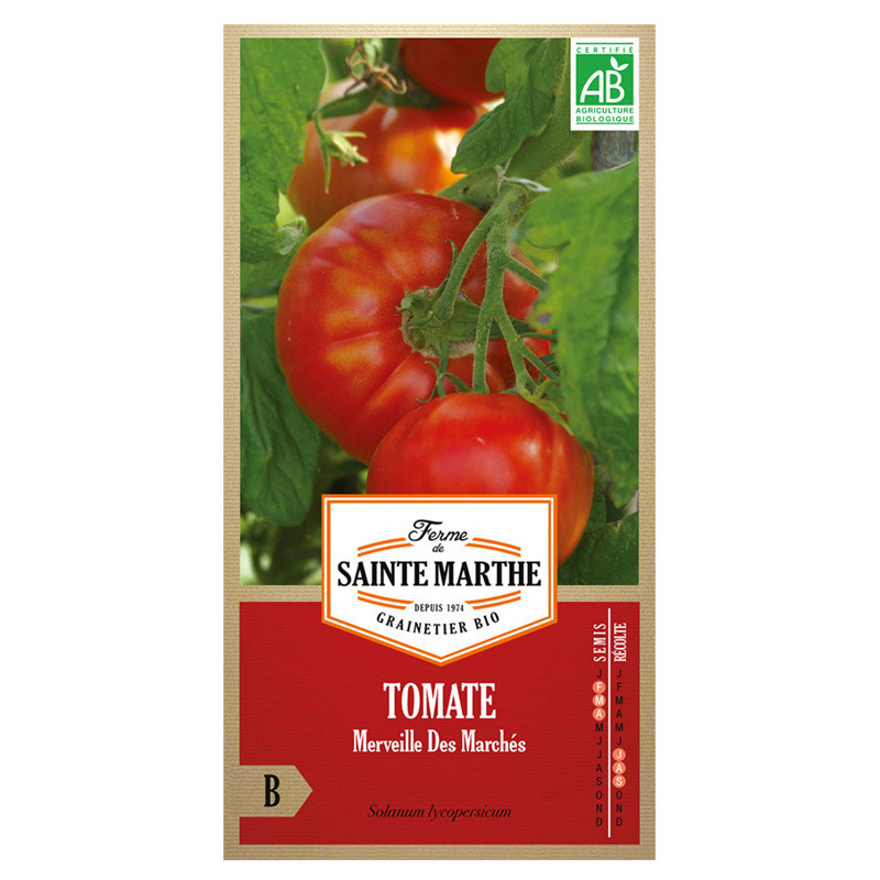Tomate Merveille des Marchés - 50 graines AB - La ferme Sainte Marthe