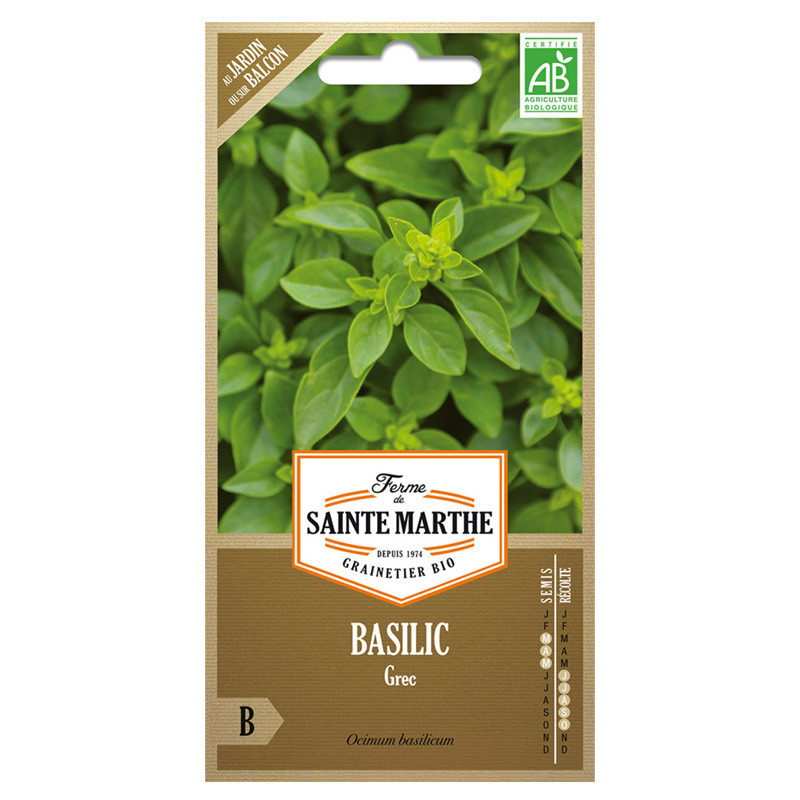 Basilic Grec - 200 graines AB - La ferme Sainte Marthe