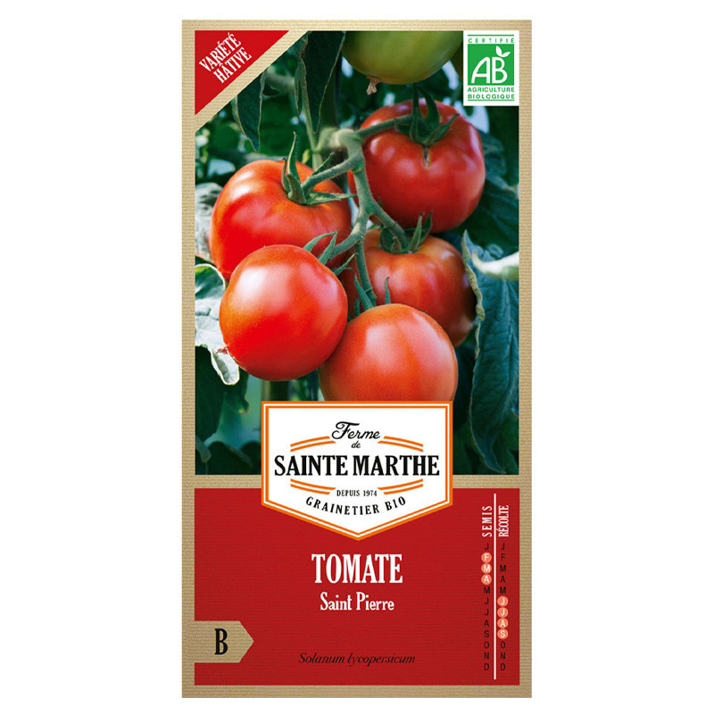 Tomate Saint Pierre - 50 graines AB - La ferme Sainte Marthe