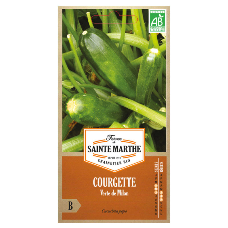 Courgette verte de Milan - 15 graines AB - La ferme Sainte Marthe