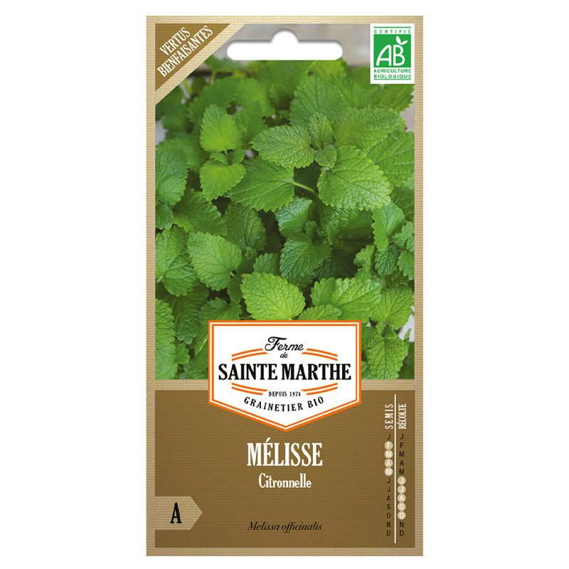 Mélisse Citronnelle - 800 graines AB - La ferme Sainte Marthe