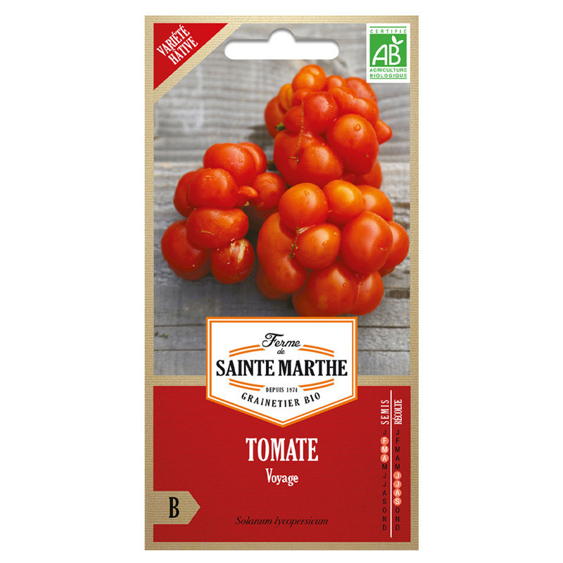 Tomate Voyage - 50 graines AB - La ferme Sainte Marthe