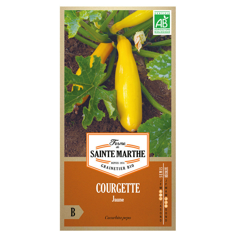 Courgette Jaune - 15 graines AB - La ferme Sainte Marthe