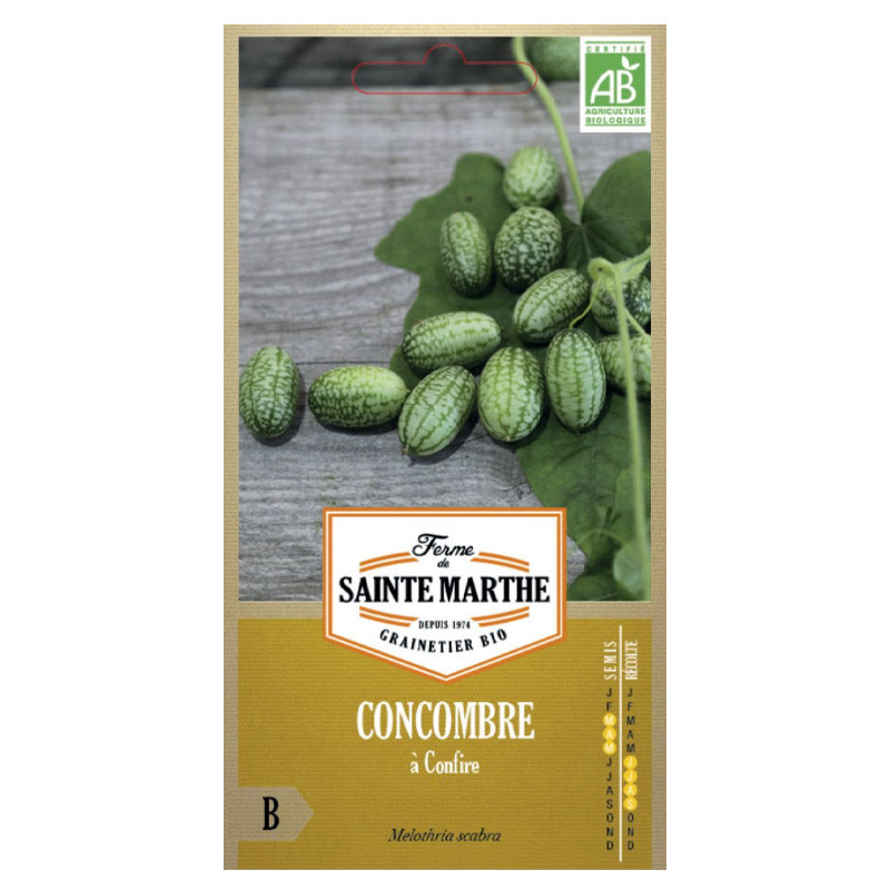 Concombre à Confire - 20 graines AB - La ferme Sainte Marthe