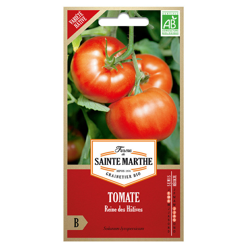 Tomate Reine des Hâtives - 50 graines AB - La ferme Sainte Marthe