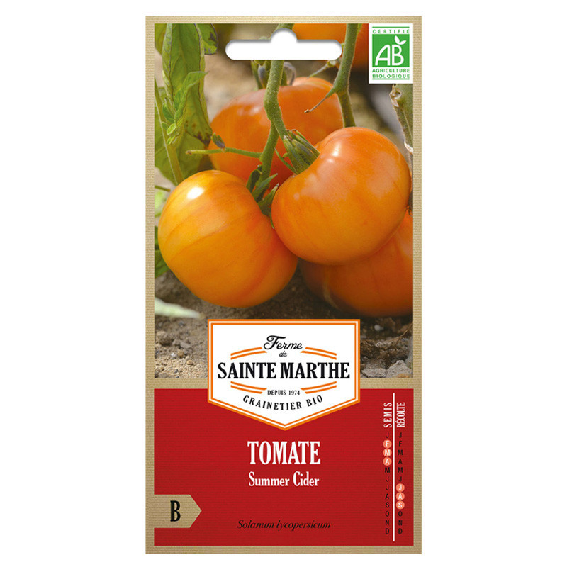 Tomate Summer Cider - 50 graines AB - La ferme Sainte Marthe