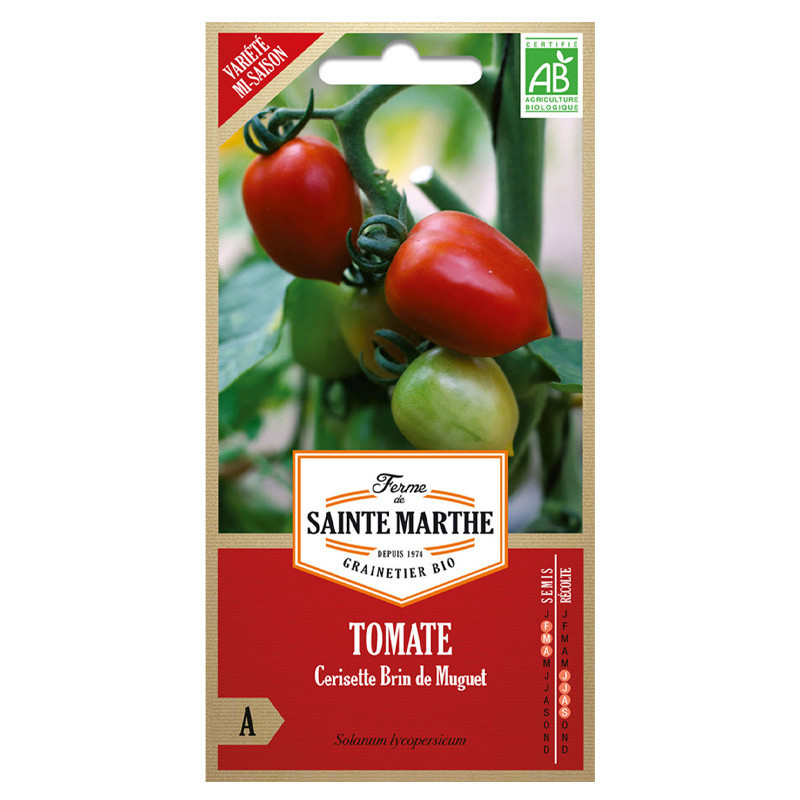 Tomate Cerisette Brin de muguet - 50 graines AB - La ferme Sainte Marthe