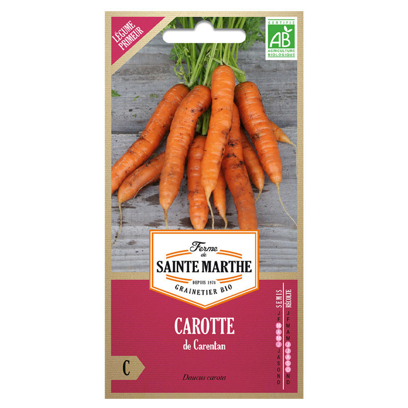 Carotte de Carentan - 1500 graines AB - La ferme Sainte Marthe
