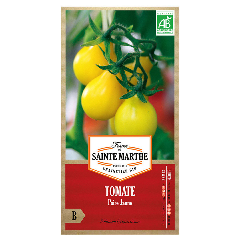 Tomate Poire Jaune - 50 graines AB - La ferme Sainte Marthe