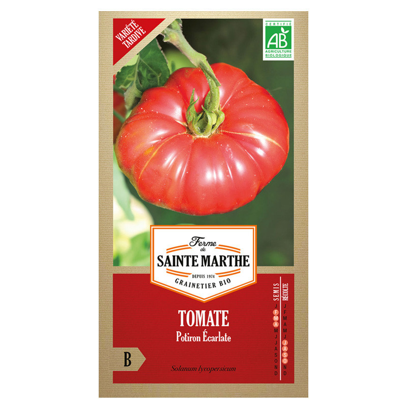 Tomate Potiron Écarlate - 50 graines AB - La ferme Sainte Marthe