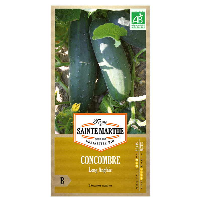 Concombre long Anglais - 20 graines AB - La ferme Sainte Marthe