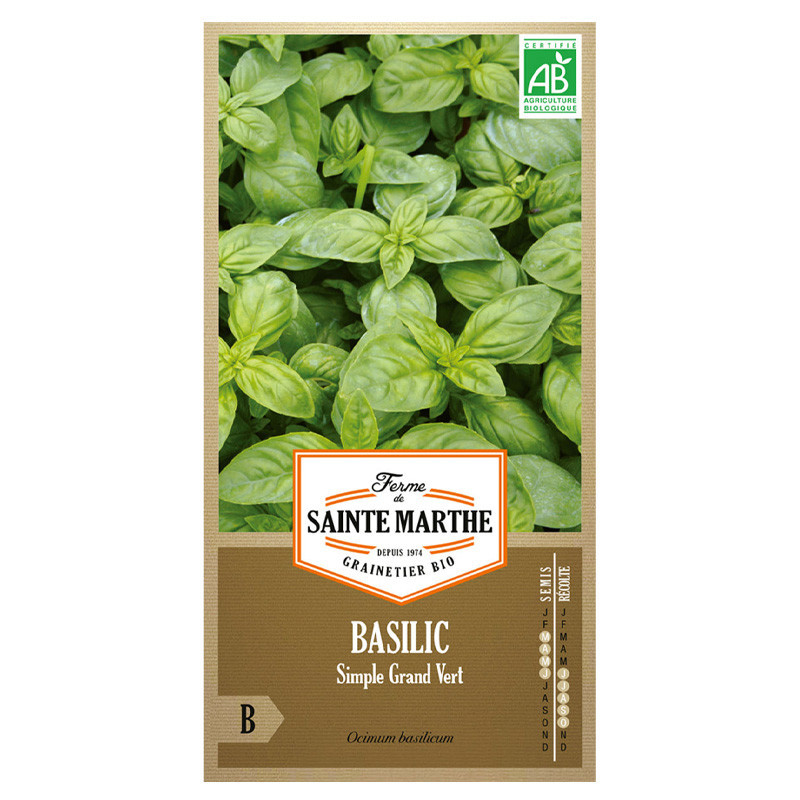 Basilic simple grand vert - 200 graines AB - La ferme Sainte Marthe