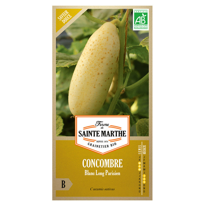 Concombre blanc long parisien - 20 graines AB - La ferme Sainte Marthe
