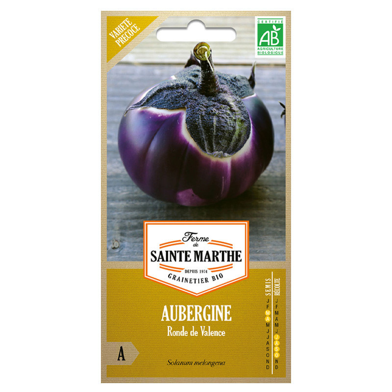 Aubergine ronde de Valence - 50 graines AB - La ferme Sainte Marthe