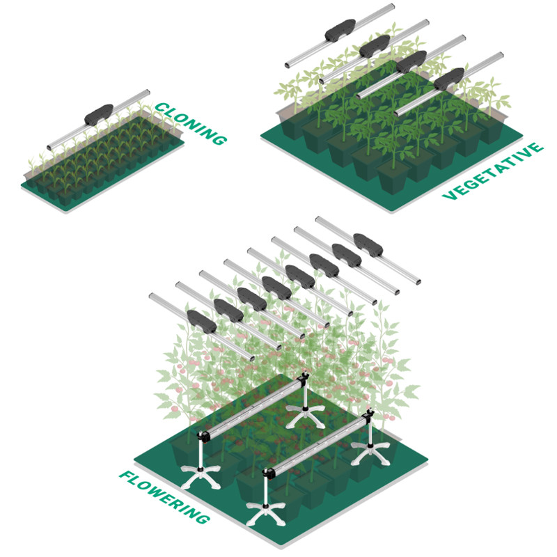 4-Kanal-Treiber für Model One - 90W - TLD-4 - ThinkGrow LED